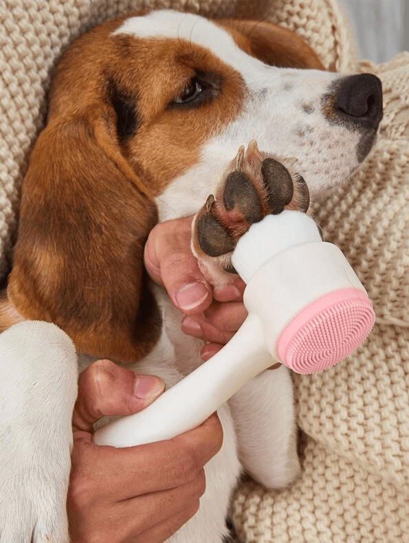 LIMPATINHA | Escova Para Limpeza de Patas de Cachorro e Gato