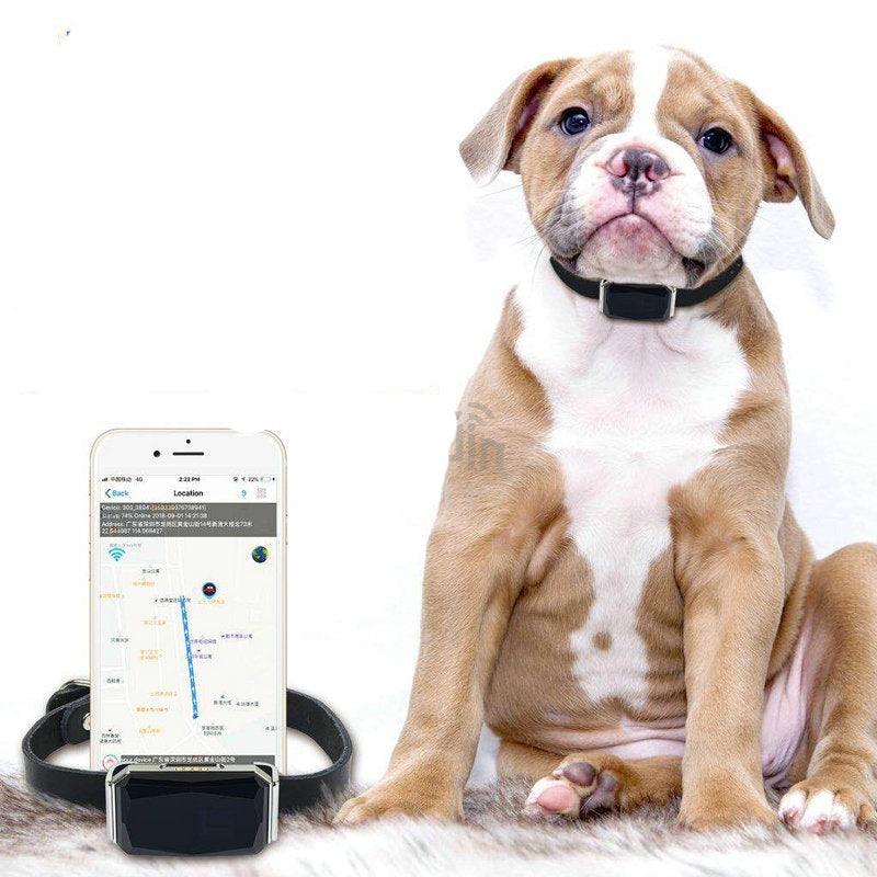 Coleira GPS a prova d'água com microfone e Geofence Docooler Mk2