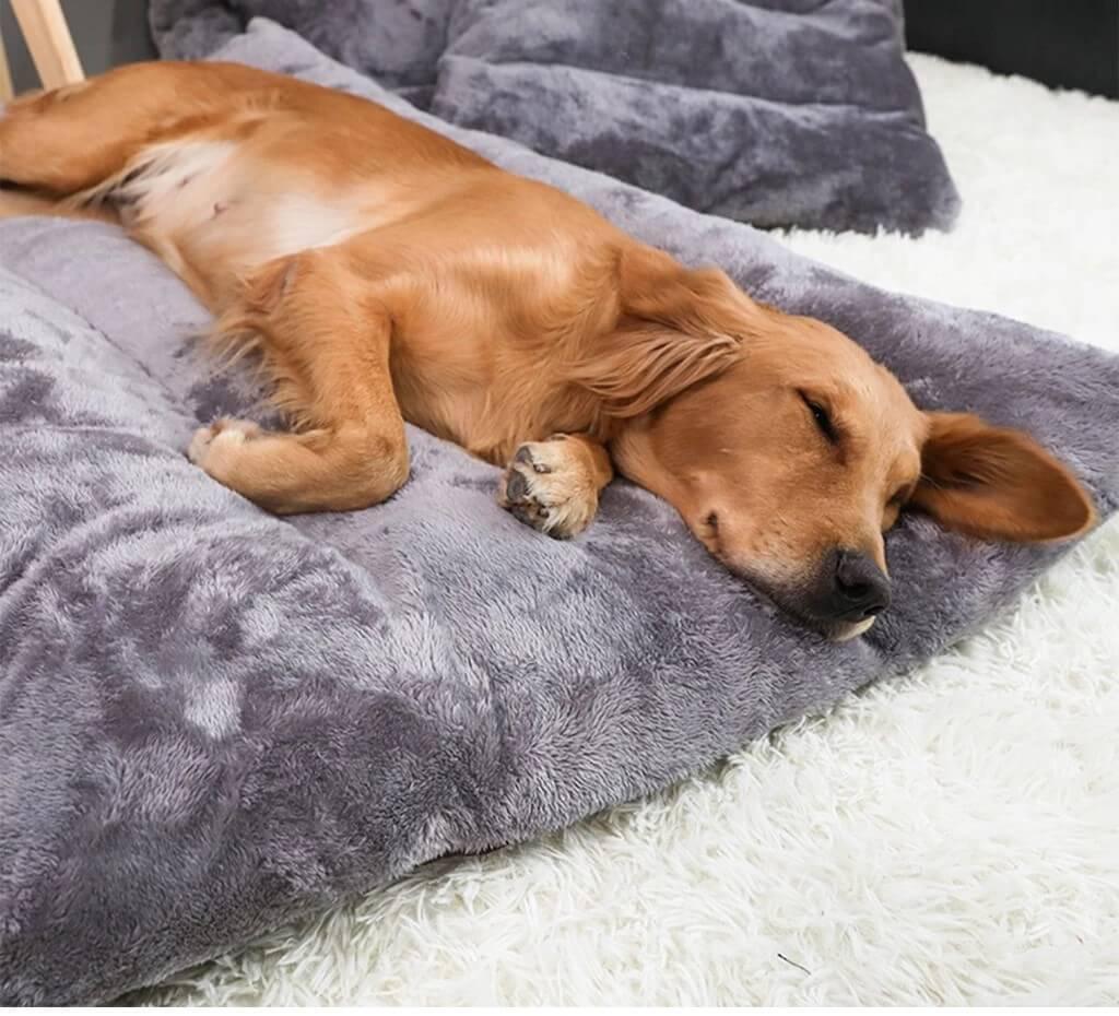 Cama Colchonete com Zíper para Pet Pequeno Medio e Grande Porte