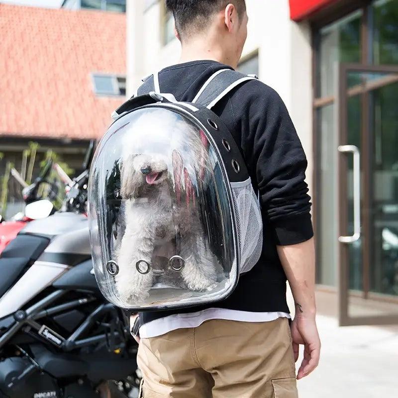 Mochila Panorâmica para Transporte de Pets – Conforto e Segurança para Cães e Gatos