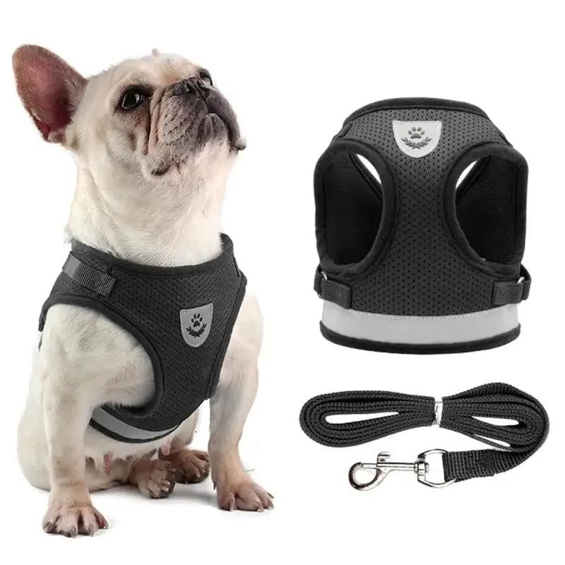 Coleira Peitoral com Fecho de Velcro e Guia Refletiva para Cachorros e Gatos – Conforto e Segurança para Pets