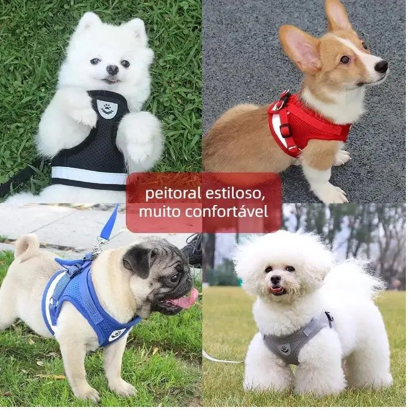 Coleira Peitoral com Fecho de Velcro e Guia Refletiva para Cachorros e Gatos – Conforto e Segurança para Pets