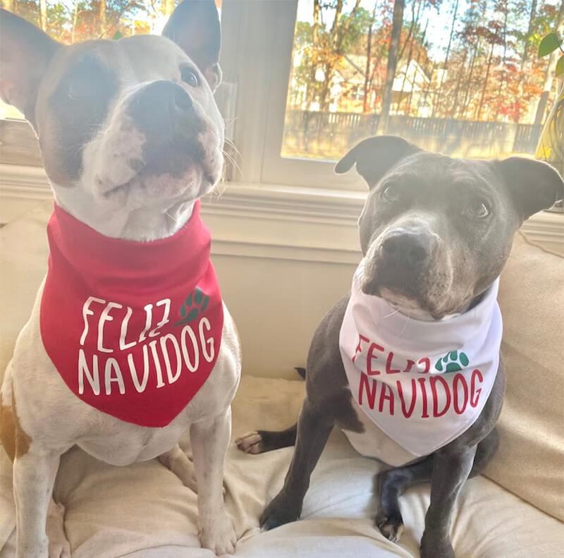 Bandana Feliz Natal para Pets