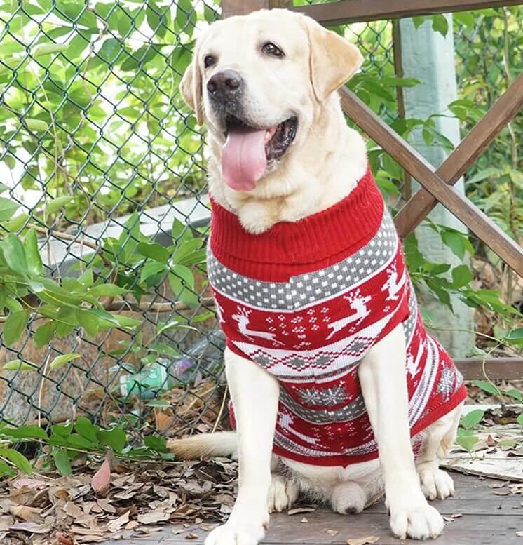 Suéter de Natal para Cachorros e Gatos Pequeno, Médio e Grande Porte | PP ao 6XG