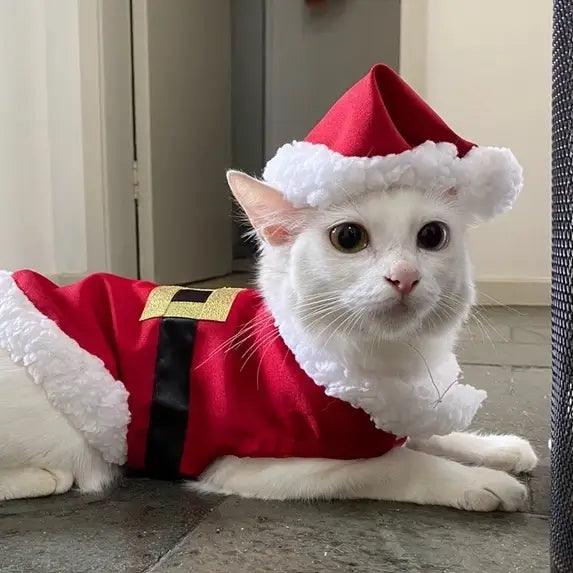 Roupa Fantasia de Natal Papai Noel para Pets | Para Porte pequeno, médio e grande