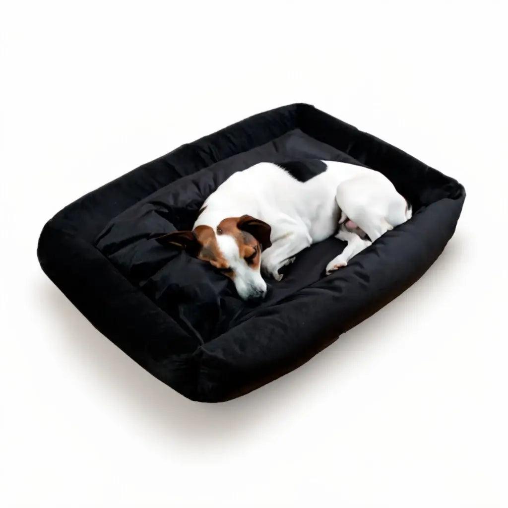 Super Cama Lavável para Cachorro Porte Grande